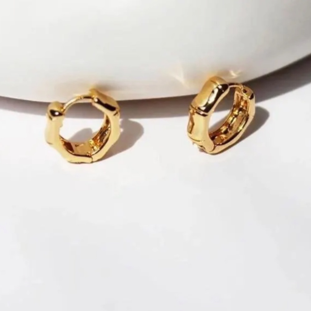 NEW 24K Gold Filled Hoop Earrings